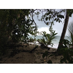 รูปถ่าย คอสตาริกา(Costa Rica) กาอุยตา(Cahuita) 2015-03 64