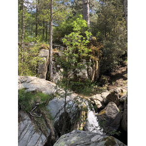 รูปถ่าย ฝรั่งเศส(France) คอร์สิคา(Corsica) ป่าไอโตเน(Aitone Forest) 2021-06 34