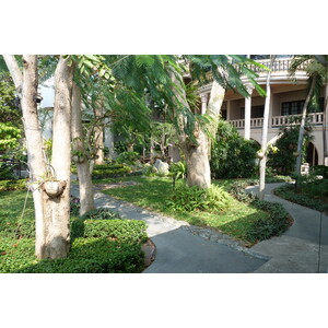 รูปถ่าย ไทย(Thailand) พัทยา(Pattaya) โกลเด้นคลิฟ(Golden cliff) 2011-02 5