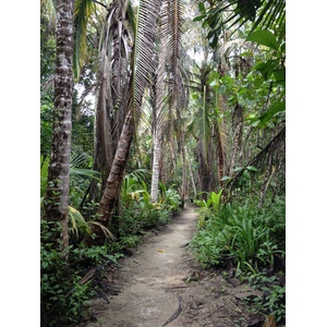 รูปถ่าย คอสตาริกา(Costa Rica) กาอุยตา(Cahuita) 2015-03 8