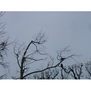 รูปถ่าย ออสเตรีย(Austria) เวียนนา(Vienna) 2005-03 52