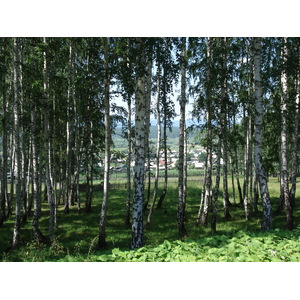 รูปถ่าย รัสเซีย(Russia) อูรัล(Ural) 2006-07 29