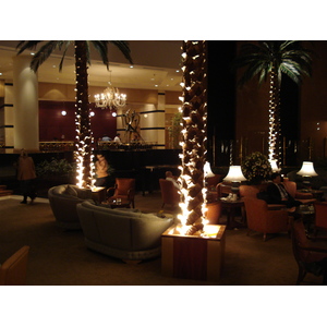 รูปถ่าย คาซัคสถาน(Kazakhstan) อัลมาตี(Almaty) โรงแรมอินเตอร์คอนติเนนตัล อัลมาตี(Intercontinental Almaty Hotel) 2007-03 23