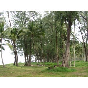 รูปถ่าย ไทย(Thailand) เขาหลัก(Khao Lak) หาดบางสัก(Bang Sak Beach) 2005-12 40