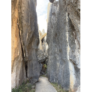 รูปถ่าย จีน(China) ป่าหินสือหลิน(Shilin Stone Forest) 2026-01 98