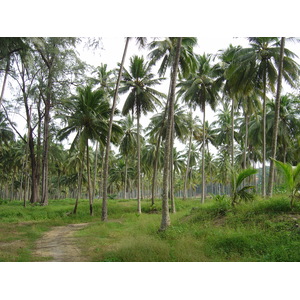 รูปถ่าย ไทย(Thailand) เขาหลัก(Khao Lak) หาดบางสัก(Bang Sak Beach) 2005-12 33