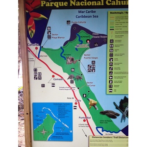 รูปถ่าย คอสตาริกา(Costa Rica) กาอุยตา(Cahuita) 2015-03 219
