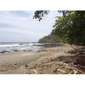 รูปถ่าย คอสตาริกา(Costa Rica) มอนเตซูมา(Montezuma) 2015-03 202
