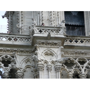 รูปถ่าย ฝรั่งเศส(France) ปารีส(Paris) มหาวิหารน็อทร์-ดาม(Notre Dame) 2007-05 31