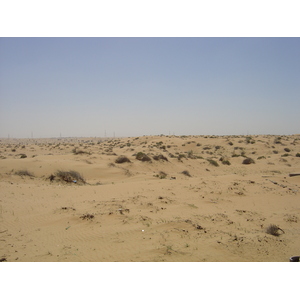 รูปถ่าย สหรัฐอาหรับเอมิเรตส์(United Arab Emirates) ถนนใกล้อาจแมน(Road near Ajman) 2005-03 8