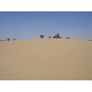 รูปถ่าย สหรัฐอาหรับเอมิเรตส์(United Arab Emirates) ถนนใกล้อาจแมน(Road near Ajman) 2005-03 9