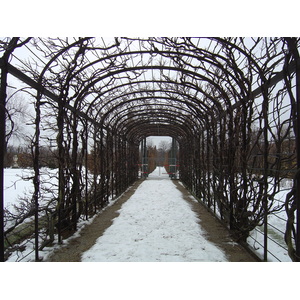 รูปถ่าย ออสเตรีย(Austria) เวียนนา(Vienna) 2005-03 51