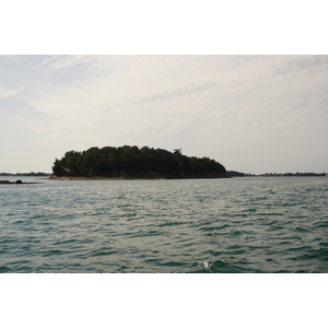 รูปถ่าย ฝรั่งเศส(France) อ่าวมอร์บีอ็อง(Golfe du Morbihan) 2016-08 44