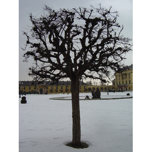 รูปถ่าย ออสเตรีย(Austria) เวียนนา(Vienna) 2005-03 3