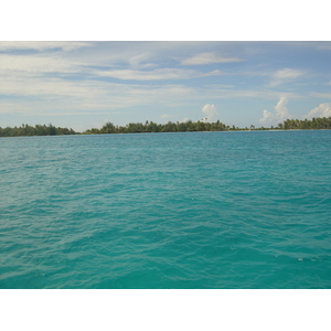 รูปถ่าย เฟรนช์โพลี่นีเซีย(Polynesia) โรงแรมเลอเมอริเดียน โบราโบรา(Meridien Bora Bora Hotel) 2006-04 51