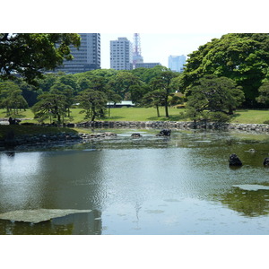 รูปถ่าย ญี่ปุ่น(Japan) โตเกียว(Tokyo) สวนฮามะริคิว(Hama rikyu Gardens) 2010-06 96