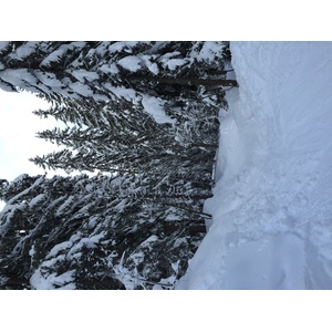 รูปถ่าย ฝรั่งเศส(France) เมแฌฟว์(Megeve) 2016-02 78