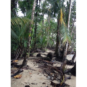 รูปถ่าย คอสตาริกา(Costa Rica) กาอุยตา(Cahuita) 2015-03 51