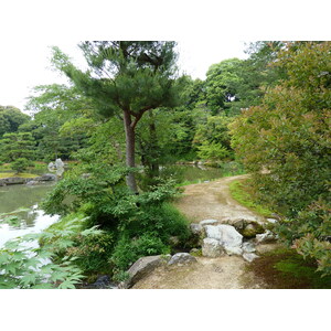 รูปถ่าย ญี่ปุ่น(Japan) เกียวโต(Kyoto) วัดคินกะกุจิ (ศาลาทอง)(Kinkakuji Temple(Golden Pavilion)) 2010-06 19