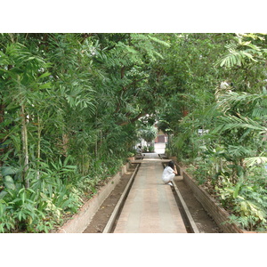 รูปถ่าย ไทย(Thailand) เชียงใหม่(Chiang Mai) ข้างในคุเมืองเชียงใหม่(Inside Canal) วัดพระสิงห์(Wat Phra Sing temple) 2006-04 12