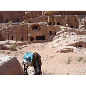 รูปถ่าย จอร์แดน(Jordan) เปตร้า(Petra) 2004-10 70