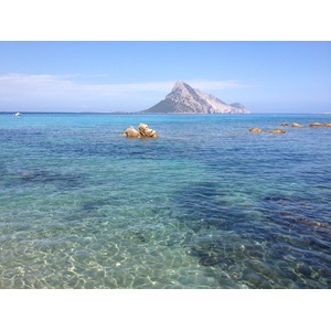 รูปถ่าย อิตาลี(Italy) ซาร์ดิเนีย(Sardinia) ปอร์โตตาแวร์นา(Porto Taverna) 2015-06 3