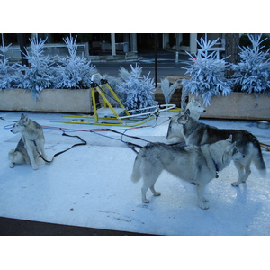 รูปถ่าย โมนาโก(Monaco) 2006-12 44
