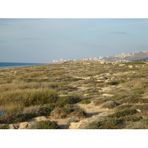 รูปถ่าย อิสราเอล(Israel) จากไฮฟาไปเทลอาวีฟ(From Haifa to Tel Aviv) 2006-12 79