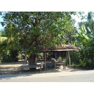 รูปถ่าย ไทย(Thailand) พิษณุโลก(Phitsanulok) 2008-01 33