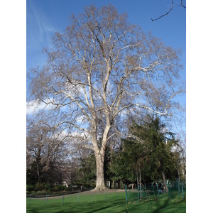 รูปถ่าย ฝรั่งเศส(France) ปารีส(Paris) สวนมงโซ(Monceau Garden) 2006-03 1