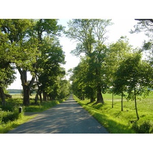รูปถ่าย สวีเดน(Sweden) ถนนจากซิกทูนาไปอุปซอลา(Sigtuna to Uppsala road) 2005-06 10