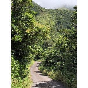 รูปถ่าย กวาเดอลูป(Guadeloupe) ภูเขาไฟลากร็องด์ซูฟรีแยร์(La Grande Soufriere) 2021-02 73