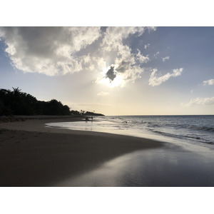 รูปถ่าย กวาเดอลูป(Guadeloupe) หาดลาแปร์ล(La Perle Beach) 2021-02 87