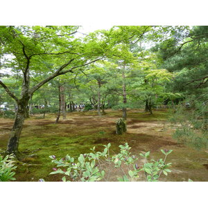 รูปถ่าย ญี่ปุ่น(Japan) เกียวโต(Kyoto) วัดคินกะกุจิ (ศาลาทอง)(Kinkakuji Temple(Golden Pavilion)) 2010-06 9
