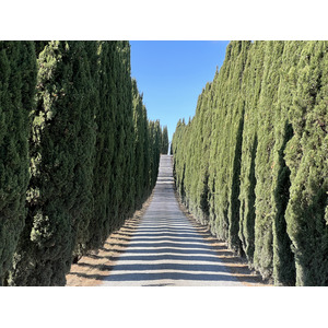 รูปถ่าย อิตาลี(Italy) ทัสคานี(Tuscany) 2021-09 6