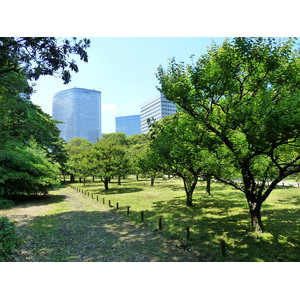 รูปถ่าย ญี่ปุ่น(Japan) โตเกียว(Tokyo) สวนฮามะริคิว(Hama rikyu Gardens) 2010-06 122