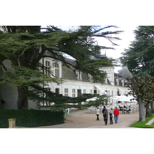 รูปถ่าย ฝรั่งเศส(France) ปราสาทเชอนงโซ(Chenonceau Castle) 2008-04 38