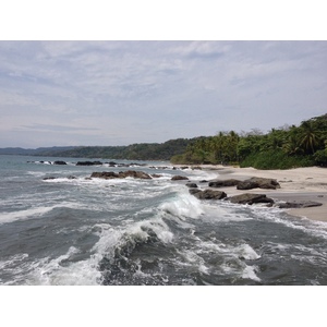 รูปถ่าย คอสตาริกา(Costa Rica) มอนเตซูมา(Montezuma) 2015-03 614