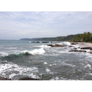 รูปถ่าย คอสตาริกา(Costa Rica) มอนเตซูมา(Montezuma) 2015-03 575