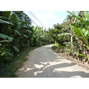 รูปถ่าย ไทย(Thailand) พิษณุโลก(Phitsanulok) จอมทอง(Chom Thong) 2009-12 19