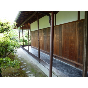 รูปถ่าย ญี่ปุ่น(Japan) เกียวโต(Kyoto) ปราสาทนิโจ(Nijo Castle) 2010-06 28