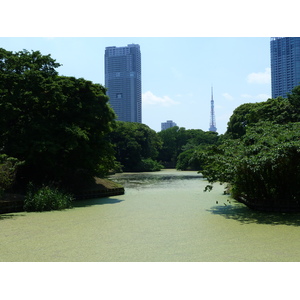 รูปถ่าย ญี่ปุ่น(Japan) โตเกียว(Tokyo) สวนฮามะริคิว(Hama rikyu Gardens) 2010-06 13