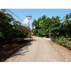 รูปถ่าย ไทย(Thailand) พิษณุโลก(Phitsanulok) จอมทอง(Chom Thong) 2009-12 11