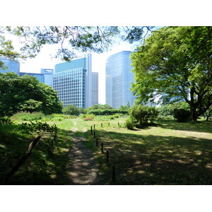 รูปถ่าย ญี่ปุ่น(Japan) โตเกียว(Tokyo) สวนฮามะริคิว(Hama rikyu Gardens) 2010-06 51