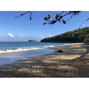 รูปถ่าย กวาเดอลูป(Guadeloupe) หาดลาแปร์ล(La Perle Beach) 2021-02 48