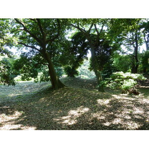 รูปถ่าย ญี่ปุ่น(Japan) โตเกียว(Tokyo) สวนฮามะริคิว(Hama rikyu Gardens) 2010-06 84