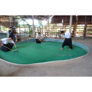 รูปถ่าย ไทย(Thailand) เชียงใหม่(Chiang Mai) ฟาร์มงูแม่สา(Mae Sa Snake Farm) 2010-12 76