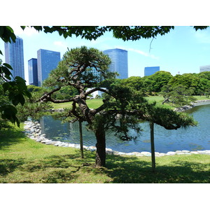 รูปถ่าย ญี่ปุ่น(Japan) โตเกียว(Tokyo) สวนฮามะริคิว(Hama rikyu Gardens) 2010-06 19