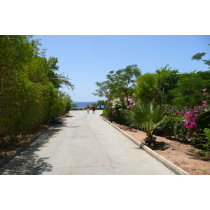 รูปถ่าย อียิปต์(Egypt) ชาร์มเอลชีค(Sharm el Sheikh) โรงแรมไฮแอต(Hyatt Hotel) 2008-06 7