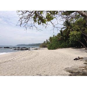 รูปถ่าย คอสตาริกา(Costa Rica) มอนเตซูมา(Montezuma) 2015-03 41
